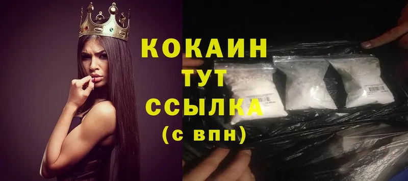 МЕГА маркетплейс  Жердевка  Cocaine FishScale 